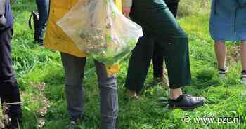 Kunstenfestival SMAAK komt naar 2060 | Antwerpen | pzc.nl - PZC