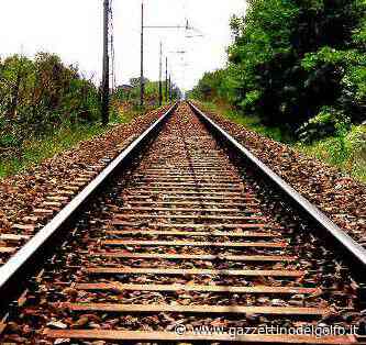 Linea Napoli - Roma via Formia: traffico sospeso per l'investimento di animali - gazzettinodelgolfo.it