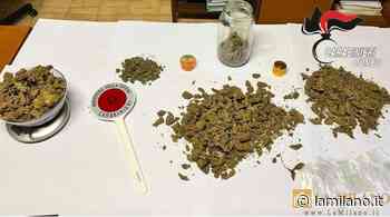 Alba (Cuneo), va in escandescenze per una lite familiare, Carabinieri lo trovano quasi un Kg di marijuana - La Milano