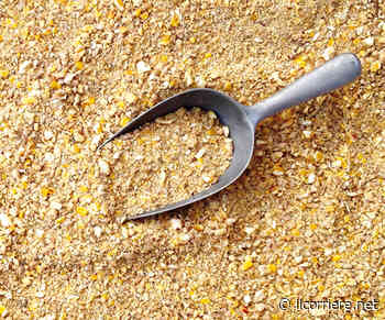 Confindustria Cuneo: “Mancano le materie prime anche per i mangimi” - https://ilcorriere.net/