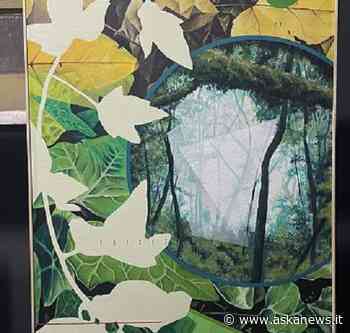 Il murales più grande di Roma sarà un'opera di Fabio Petani - Agenzia askanews