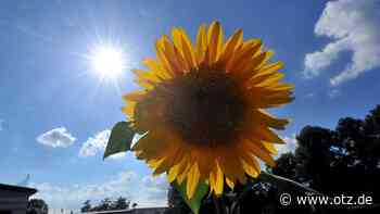Wetter: Das Wetter in Jena: Klar und weitgehend niederschlagsfrei