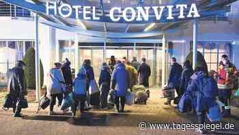 Wohnungsneubau: Es wird mehr brauchen - Tagesspiegel