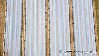 Spargelzeit kann beginnen: Söder bei Saisoneröffnung dabei - Nordbayern.de