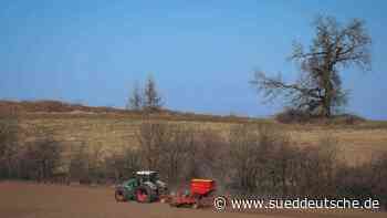 Gutes Agrarjahr im Norden in Sicht: Preise auf Rekordhoch - Süddeutsche Zeitung - SZ.de