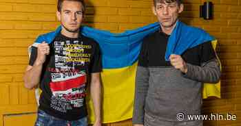 “Enkel op het veld kan ik de miserie vergeten”: Anderlecht-Oekraïners Mykhaylichenko en begeleider Iachtchouk over de oorlog - Het Laatste Nieuws