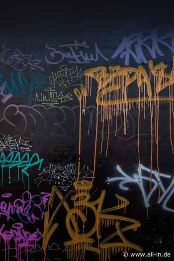 Änderungen geplant: Neues Konzept für öffentliche WC-Anlagen in Lindau soll Vandalismus eindämmen - Lindau - all-in.de - Das Allgäu Online!