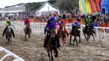 Palio della Costa Etrusca, annullata l'edizione in programma a Cecina: "Spiaggia non idonea alla corsa" - LivornoToday