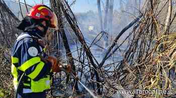 Ardea, incendio divampa in via delle Salzare: interviene la Protezione Civile - Il Faro online