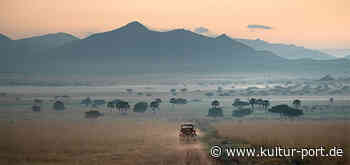 Die Perle des Nordens erleben: Ugandas Kidepo Valley Nationalpark - Kultur-Magazin aus Hamburg ~ KulturPort.De