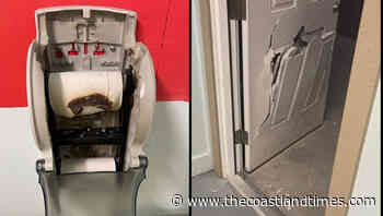 Vandalism, disorderly conduct incidents at Aviation Park lead to stepped-up enforcement efforts - The Coastland Times | The Coastland Times - The Coastland Times