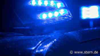 Ludwigslust-Parchim: Nach gefährlicher Hundeattacke Tiergutachter eingesetzt - STERN.de