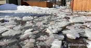 Spring melt, blocked drains cause havoc in Edmonton alleys