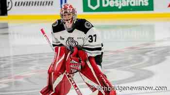 Eve Gascon to become third female goaltender to play in QMJHL - Lethbridge News Now