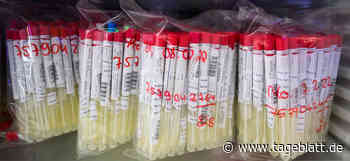 Keine neuen Zahlen: Inzidenz im Landkreis Stade sinkt - Landkreis Stade - Tageblatt-online