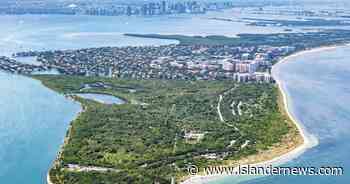 “The Main Street of the future is not just about retail…” Vision Board begins assessing potential pathway to future - Islander News.com