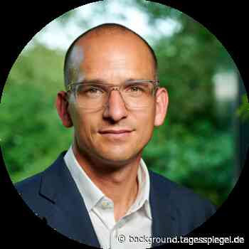 Fast Fashion – wenn Mode zum Problem wird - Tagesspiegel Background