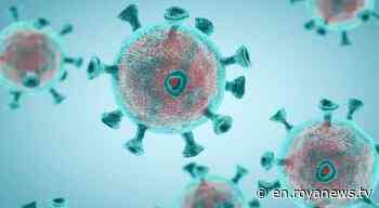 Jordan confirms 44 deaths and 9,135 coronavirus - Roya News English