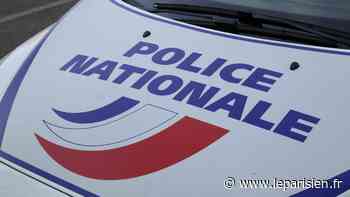 Bourg-la-Reine : six interpellations après des tirs de mortiers sur la police - Le Parisien