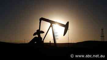 Defence experts call for EVs, green transport acceleration over concerns foreign oil a 'massive' weakness