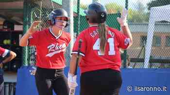Softball: Coppa Prealpi e amichevoli, gli appuntamenti del weekend di Saronno e Caronno - ilSaronno