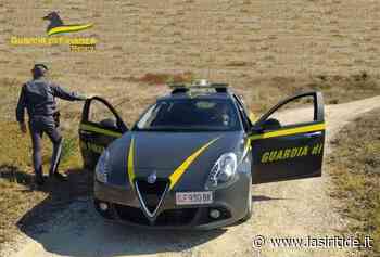 Matera: due denunce per indebita percezione di contributi comunitari - La Siritide