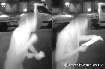 I caught a fast food delivery driver ‘eating MY chips’ after ringing my doorbell – I’m horrified... - The Sun