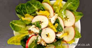 Top 10 healthiest food combinations revealed - including mixing black grapes with onions - The Mirror