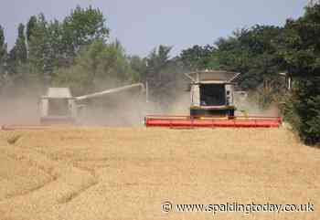 Call to secure food supply as fertiliser costs are rising - Spalding Today
