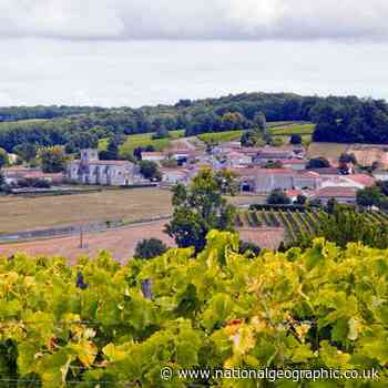 Five experiences for food lovers in Cognac, France - National Geographic UK