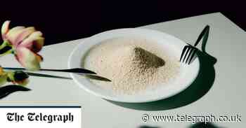 Why this beige powder could solve the world's food problems - The Telegraph