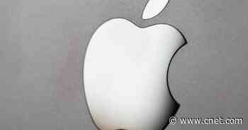 Ex-Apple Employee Charged With Defrauding Tech Giant of $10M     - CNET