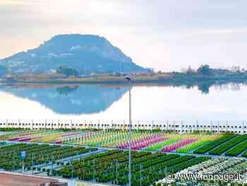 CuMare, il treno da Napoli alle spiagge di Pozzuoli e Bacoli attivo per tutta l’estate - Fanpage.it