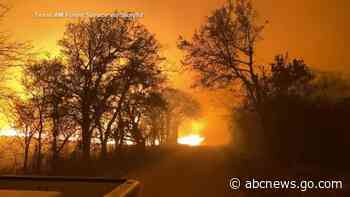 WATCH:  Deadly wildfires tear through Texas