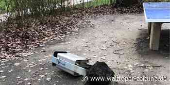 73.000 Euro sollen Vandalismus in Waltrop verhindern – aber was hilft? - Waltroper Zeitung