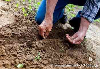 Free exhibit travels to Aurora to highlight history of gardening - NewmarketToday.ca