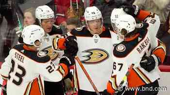 Bruins sign new defenseman Lindholm to 8-year extension - Belleville News-Democrat