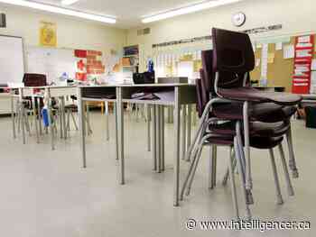 Medical officer supports return to schools, lifting of some measures - Belleville Intelligencer