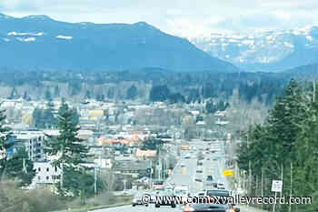 Public Opinion on Wood Stove Bylaws in the Comox Valley - Comox Valley Record