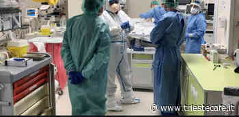 Covid in Fvg, 732 casi nelle ultime 24 ore (159 a Trieste) E 5 IN TERAPIA INTENSIVA - triestecafe.it