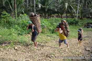 High transport costs push food prices up - manilastandard.net