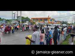 Transport Authority to postpone granting of road licences - Jamaica Gleaner
