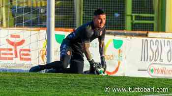 Bari, Polverino protagonista: ma il suo futuro è tutto da scrivere - BARI CALCIO