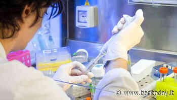 Covid, l'Università di Bari sviluppa materiale 'anticontagio': inattiva il virus sulle superfici da contatto - BariToday