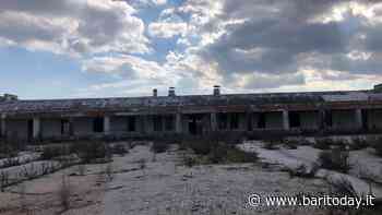 Parco della giustizia nelle ex casermette, al via i sopralluoghi per le prime attività di bonifica: "Sarà area verde più grande di Bari" - BariToday