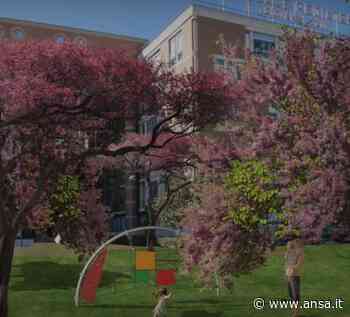 Ucraina:fratelli di 2 e 3 anni ricoverati in Pediatrico Bari - Agenzia ANSA