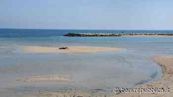 Bari, sorpresa sulla spiaggia di Pane e Pomodoro: spunta un'isoletta. Foto e tintarella social - La Repubblica
