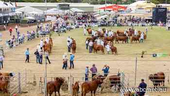 Beef 2021 wins gold tourism award after pulling off event many thought impossible