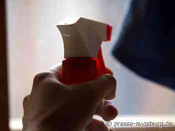 Studie: Neun von zehn Haushaltshilfen arbeiten schwarz | Presse Augsburg - Presse Augsburg