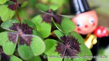 Augsburg: Freunde, Gesundheit, Kinder: Das macht die Augsburger glücklich | Augsburger Allgemeine - Augsburger Allgemeine